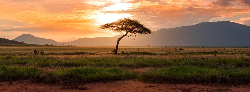 Afrikanische Woche